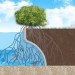 Grand-Oasis-Habitat-Wall_article_thumbnail